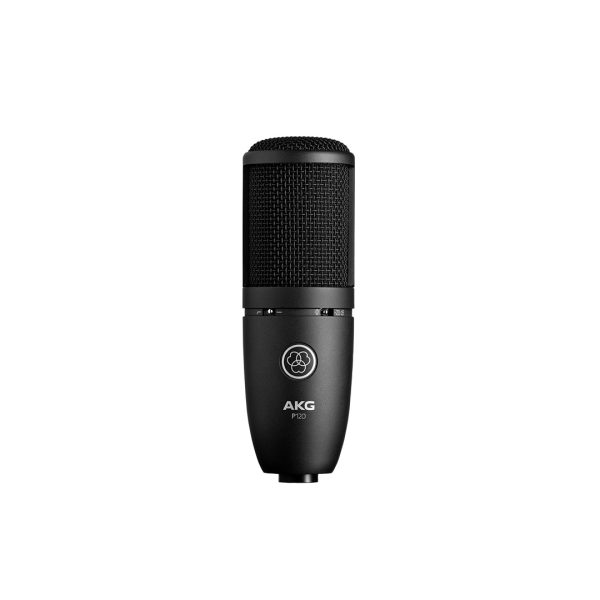 AKG P120 Large-diaphragm Condenser Microphone For Discount