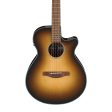 IBANEZ AEG50-DHH Acoustic Electric Guitar Dark Honey Burst Cheap