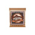 Ernie Ball 2148 Light Earthwood Phosophor Bronze Acoustic Guitar Strings - .011-.052 Online Sale